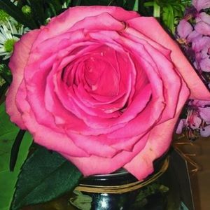 Meet your Posher, Jose